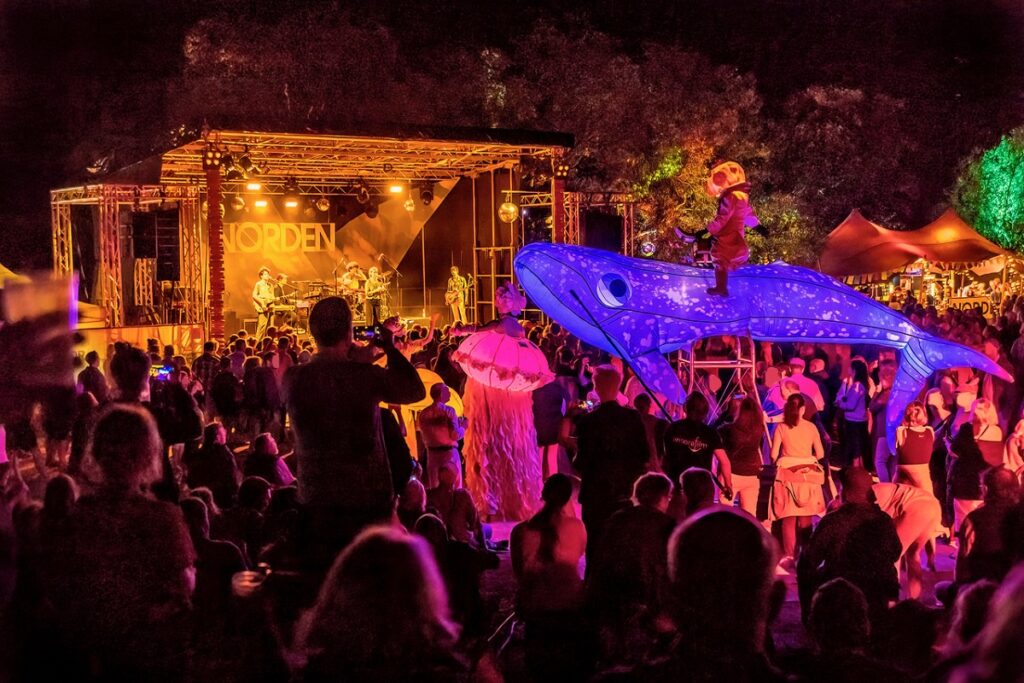 Publikum beim Norden Festival auf den Königswiesen in Schleswig am Abend.